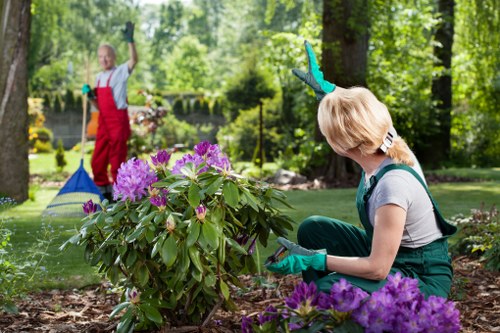 Landscaping in Wealdstone for a neat and attractive garden design