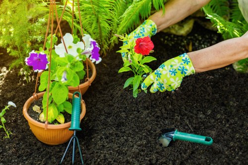 Gardeners Wealdstone annual review and ethical sourcing image five
