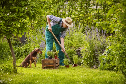 Garden hedge shaping and clipping in Wealdstone