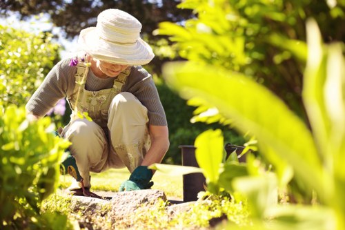Professional tree surgery in Wealdstone with arborist care