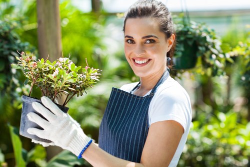 Gardeners Wealdstone pricing for a small front garden tidy-up
