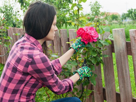 Gardener working safely in a maintained outdoor space