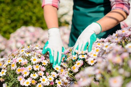 Safe payment processing for Gardening Wealdstone services