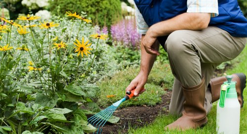 Illustration of ongoing accessibility support for Gardeners Wealdstone area