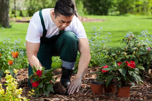 Summary section explaining Gardeners Wealdstone cookie categories