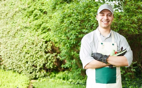 Seasonal planting and lawn care in a Wealdstone garden