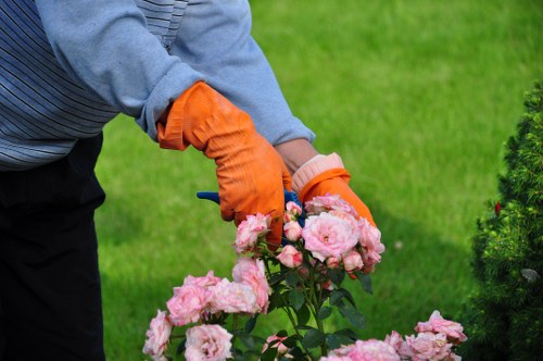 Gardeners Wealdstone shaping hedges and maintaining outdoor spaces