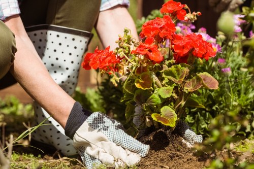 Gardeners Wealdstone reporting and safeguarding image three