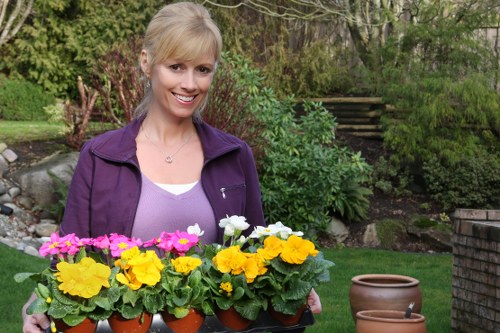 Structured garden service complaints handling process