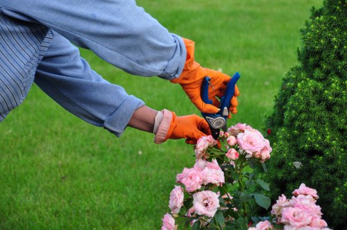 Decking maintenance and repair service in Wealdstone for lasting durability