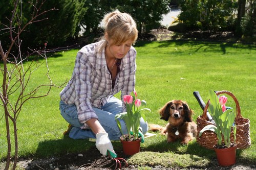 Outdoor garden planning and hard landscaping in Wealdstone