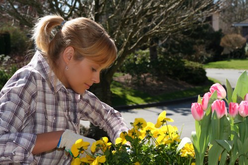 Seasonal lawn maintenance in a Wealdstone home garden