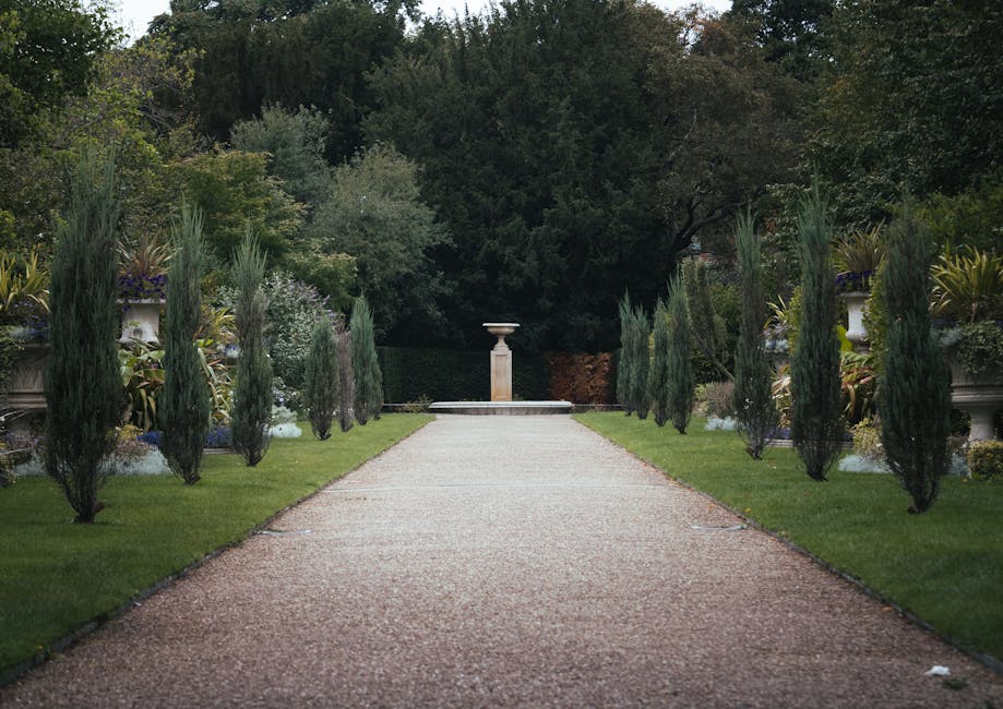 A person wearing a black long-sleeved top and a dark cap is trimming a dense, well-maintained hedge with a pair of large, sharp garden shears, positioned at the top of the hedge. The hedge features sm